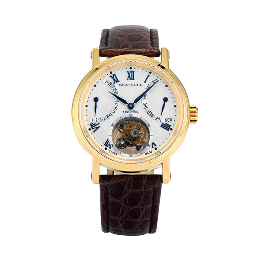 海鸥表多功能陀飞轮腕表d818.924