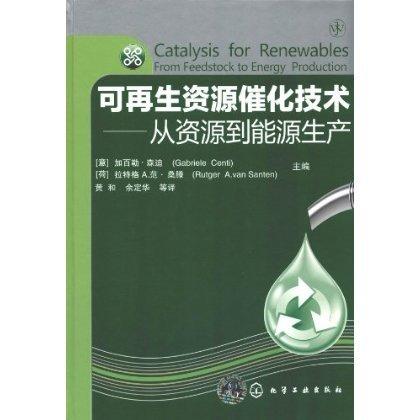 可再生资源催化技术--从资源到能源生产 商品图0