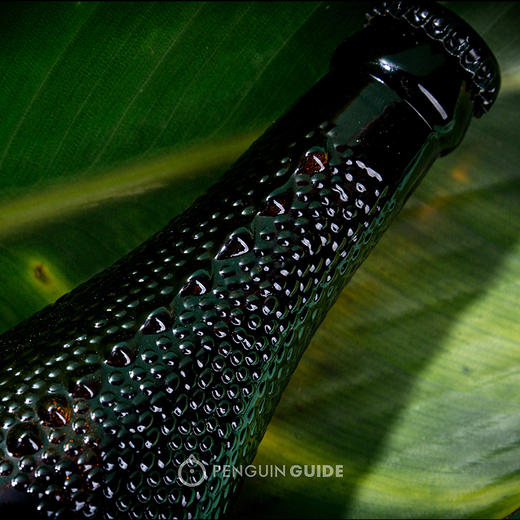 企鹅市集新西兰大蜥蜴啤酒组合6支装淡色艾尔ipa精酿