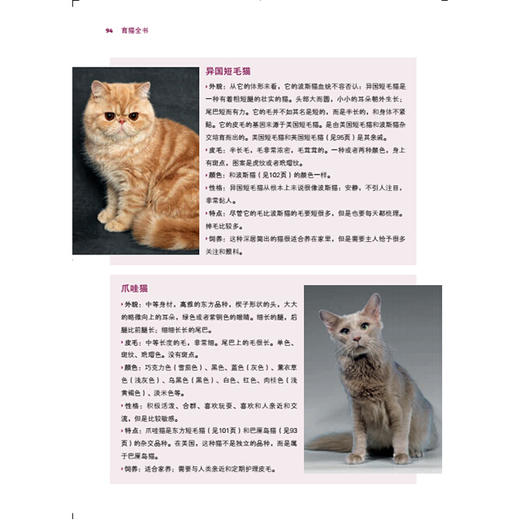 育猫全书 商品图3