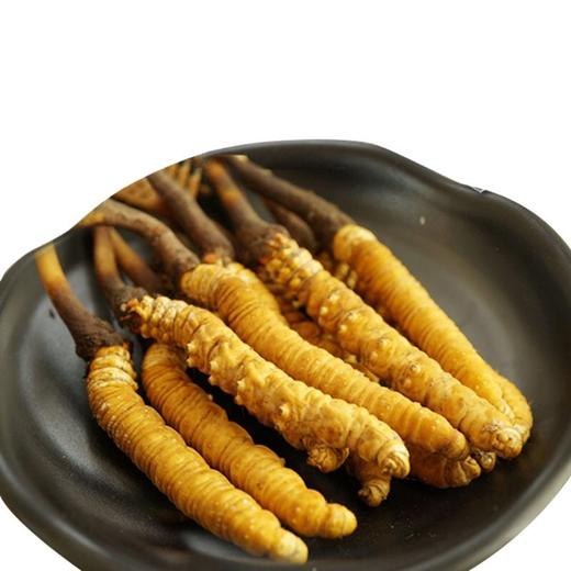 青海 鲜虫草10条装 滋补名草 按下单顺序发货 商品图1