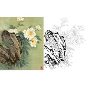 工笔花鸟白描底稿-花卉白芍药花-金鸿钧-斗方小品册页-JR06