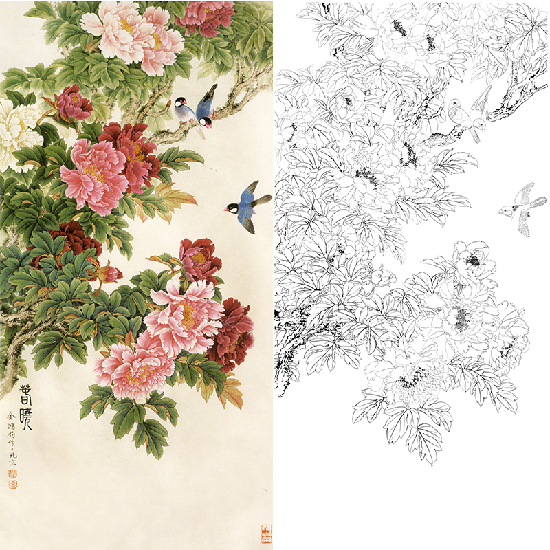竖幅工笔花鸟白描底稿-四尺六尺牡丹-金鸿钧《春晓》-多种白描尺寸可选-JR01
