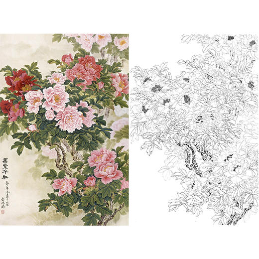 竖幅工笔花鸟白描底稿-花卉牡丹-金鸿钧《万紫千红》-多种白描尺寸可选-JR16 商品图0