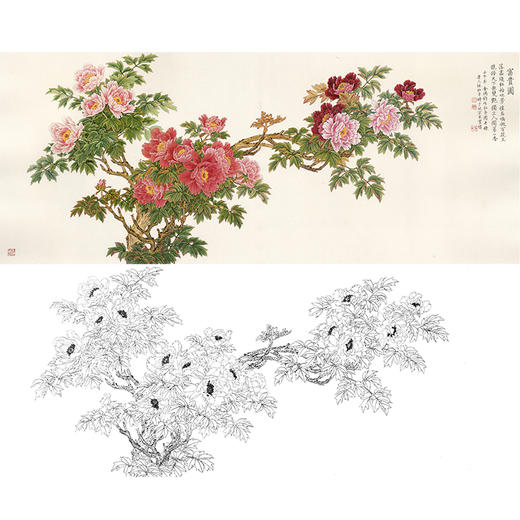 横幅工笔花鸟白描底稿-牡丹-金鸿钧富贵图-JR18 商品图0