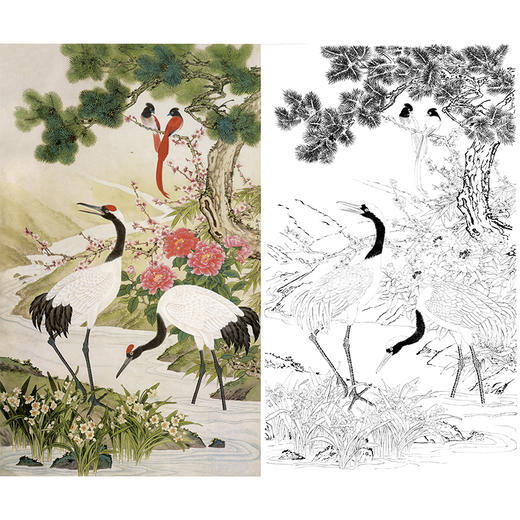 竖幅工笔花鸟白描底稿-仙鹤-金鸿钧《松鹤长春》-多种白描尺寸可选-JR15 商品图0