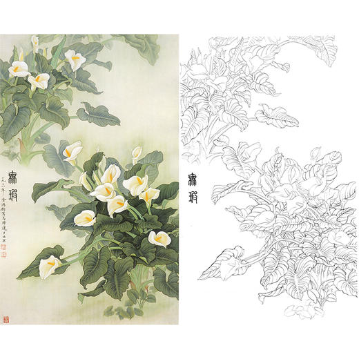 工笔花鸟花卉马蹄莲金鸿钧无暇多种白描尺寸可选jr17