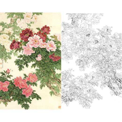 竖幅工笔花鸟白描底稿牡丹金鸿钧繁荣茂盛多种白描尺寸可选jr02