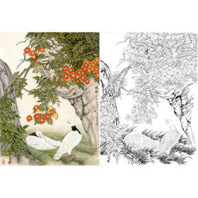 工笔花鸟白描底稿-鸽子-金鸿钧《暖风》-斗方小品册页-JR13