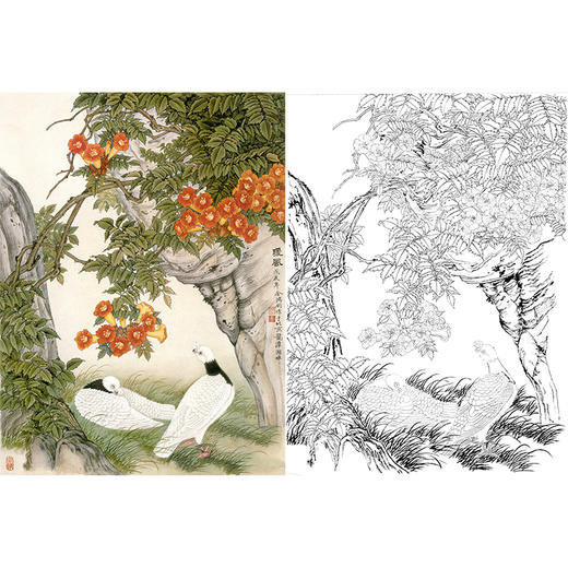 工笔花鸟白描底稿鸽子金鸿钧暖风斗方小品册页jr13