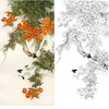 竖幅工笔花鸟白描底稿-凌霄花-金鸿钧《凌霄绶带》-多种白描尺寸可选-JR11 商品缩略图0