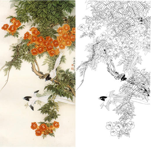 竖幅工笔花鸟白描底稿凌霄花金鸿钧凌霄绶带多种白描尺寸可选jr11