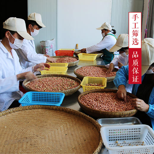 铜仁 松桃【珍珠花生】2024年新花生 省内包邮  去壳多种规格任选 袋装/礼盒装 地标产品 特产 下酒必备 粒粒精选 欢迎购买品尝！ 商品图6