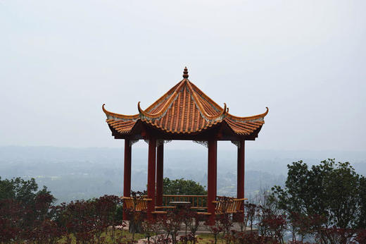 【春游季】4月23日周日杨梅小镇爬山赏花放风筝周末亲子行！ 商品图1