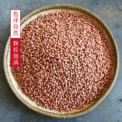 铜仁 松桃【珍珠花生】2024年新花生 省内包邮  去壳多种规格任选 袋装/礼盒装 地标产品 特产 下酒必备 粒粒精选 欢迎购买品尝！ 商品图3