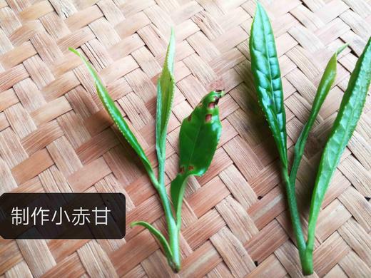 桐木小赤甘(正山-发源地) 商品图2