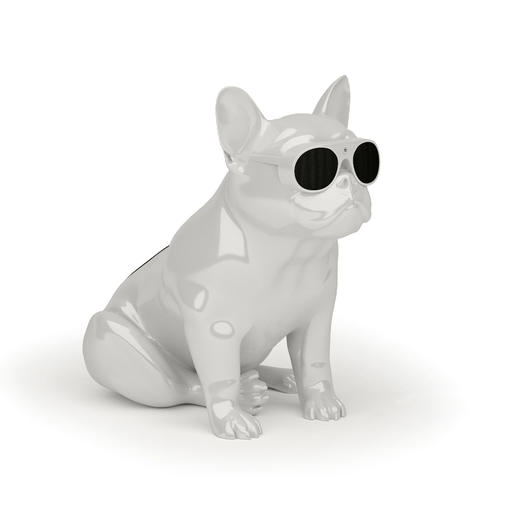 AeroBull XS1 斗牛犬音响 商品图2