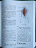 血管手术与血管腔内治疗：解剖图谱与技术指南 商品缩略图11