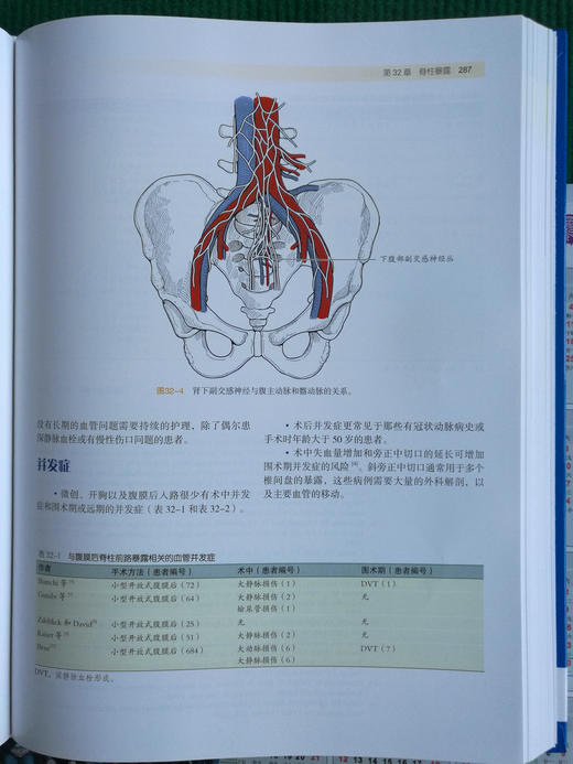 血管手术与血管腔内治疗：解剖图谱与技术指南 商品图9