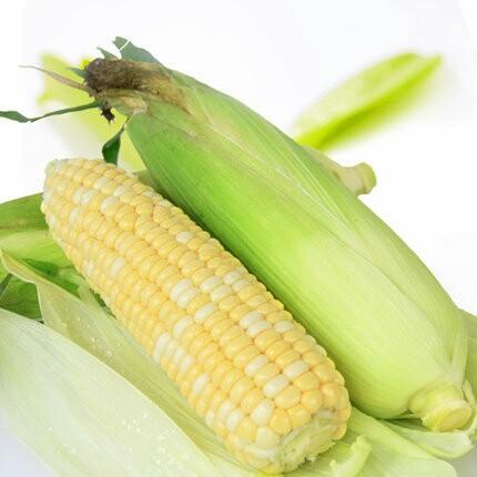 水果玉米【5斤5-7帮 8斤装10-13棒】,水果玉米是可生吃的一种超甜玉米
