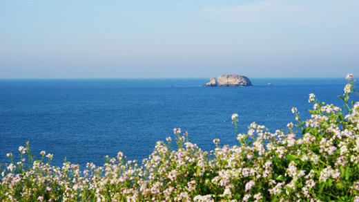 2025 蔚蓝之约 我们带你去渔山列岛看海（后会无期） 商品图0