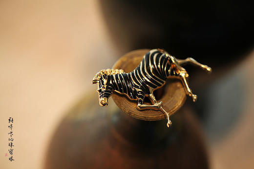 爱上一匹野马 商品图1