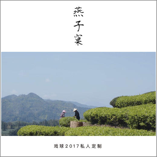 2017私人定制预售燕子窠水仙花果香256克8克泡