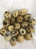 410鹌鹑蛋约500克 商品缩略图0