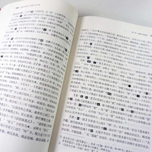 中国文字发展史 隋唐五代文字卷 臧克和 精装 中国语言文字学史 商品图4