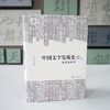 中国文字发展史 民族文字卷 臧克和 精装 中国语言文字学史 商品缩略图1