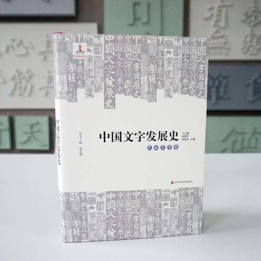 中国文字发展史 民族文字卷 臧克和 精装 中国语言文字学史 商品图1