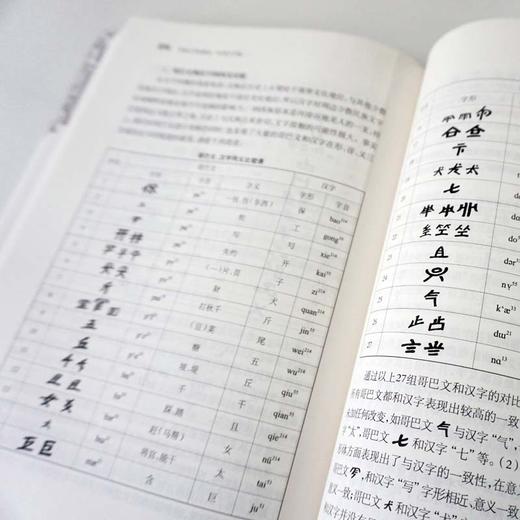 中国文字发展史 民族文字卷 臧克和 精装 中国语言文字学史 商品图3