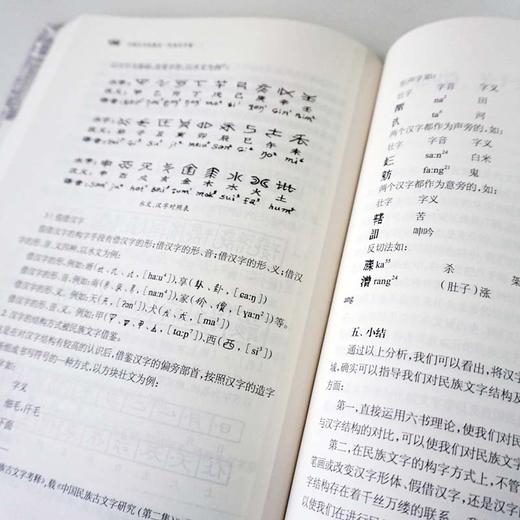 中国文字发展史 民族文字卷 臧克和 精装 中国语言文字学史 商品图4