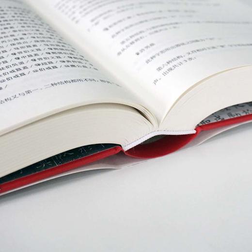 中国文字发展史 商周文字卷 附光盘 臧克和 精装 中国语言文字学史 商品图3