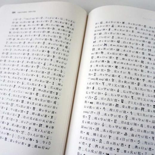 中国文字发展史 商周文字卷 附光盘 臧克和 精装 中国语言文字学史 商品图4