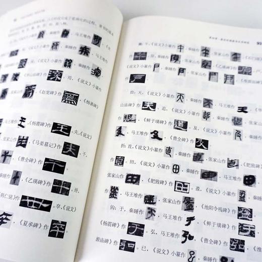 中国文字发展史 秦汉文字卷 臧克和 精装 中国语言文字学史 商品图3