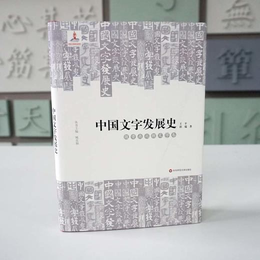 中国文字发展史 魏晋南北朝文字卷 臧克和 精装 中国语言文字学史 商品图1