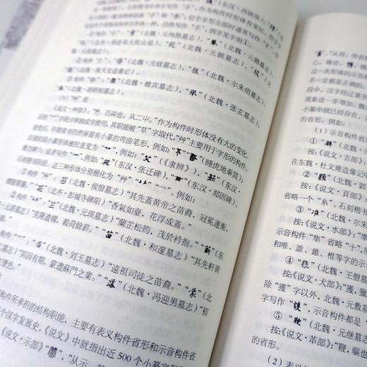 中国文字发展史 魏晋南北朝文字卷 臧克和 精装 中国语言文字学史 商品图3