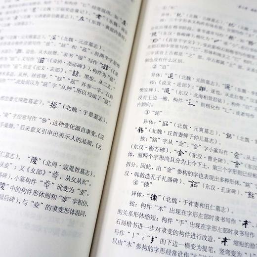 中国文字发展史 魏晋南北朝文字卷 臧克和 精装 中国语言文字学史 商品图4