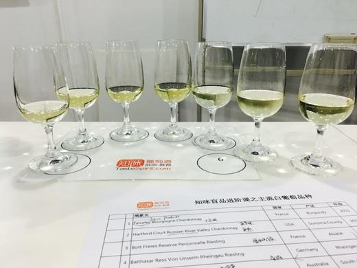 【上海】5月10日知味盲品入门课1：典型白葡萄品种 商品图0
