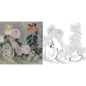 工笔花鸟白描底稿-菊花-王庆升《秋色含香》斗方小品册页-多种白描尺寸可选-QB13