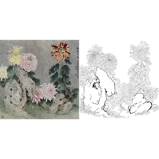 工笔花鸟白描底稿-菊花-王庆升《秋色含香》斗方小品册页-多种白描尺寸可选-QB13 商品图0