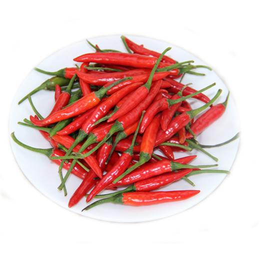 新鲜蔬菜小米椒约230g