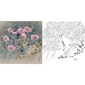 工笔花鸟白描底稿-玫瑰花-王庆升《玫瑰谷》-斗方小品册页-多种白描尺寸可选-QB12