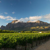 罗伯乐富齐传统红葡萄酒Rupert & Rothschild Vignerons Classique, Paarl, South Africa 商品缩略图1