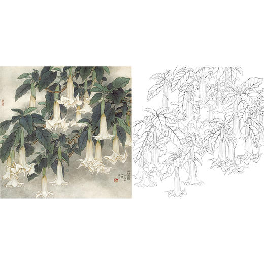 工笔花鸟白描底稿-王庆升《云中乐》斗方小品册页-多种白描尺寸可选-QB18 商品图0