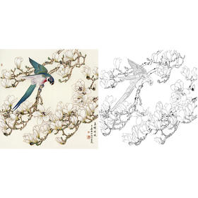 工笔花鸟白描底稿-玉兰花-王庆升《玉树临风》斗方小品册页-多种白描尺寸可选-QB17