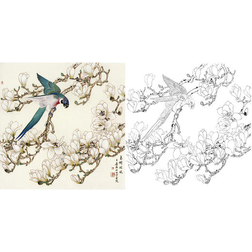 工笔花鸟白描底稿-玉兰花-王庆升《玉树临风》斗方小品册页-多种白描尺寸可选-QB17 商品图0