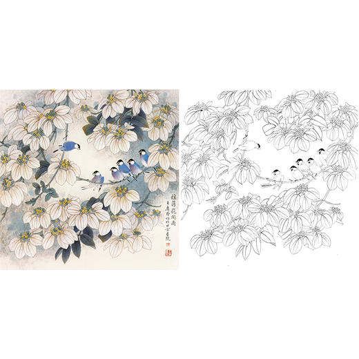 工笔花鸟白描底稿-王庆升《摇荡花间雨》斗方小品册页-多种白描尺寸可选-QB15 商品图0