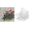 工笔花鸟白描底稿-王庆升《带露迎霞》斗方小品册页-多种白描尺寸可选-QB02 商品缩略图0